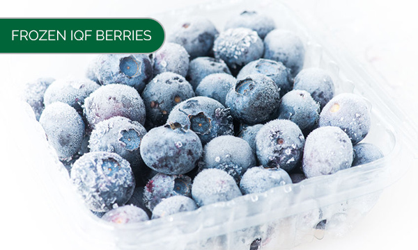 Frozen IQF Berries