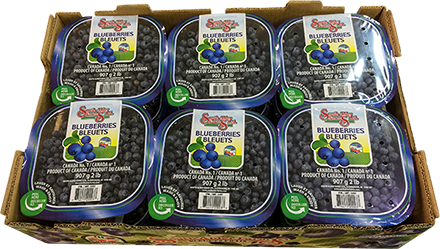 Blueberry Clamshell Packs